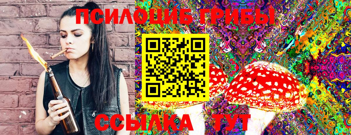 Псилоцибиновые грибы мицелий Ярославль