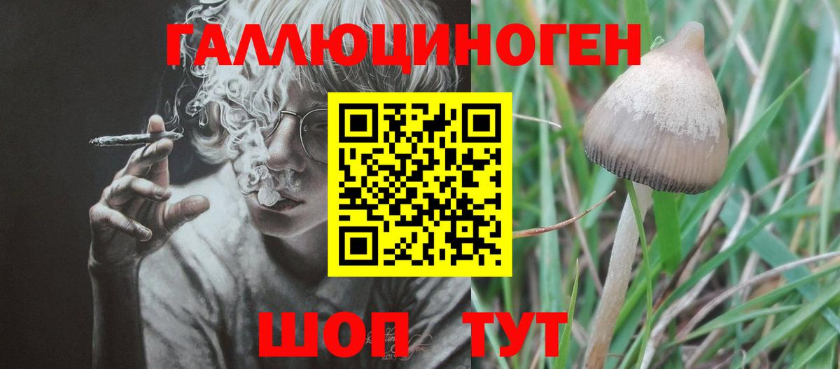 Галлюциногенные грибы Psilocybine cubensis  Вход с VPN  Ярославль 